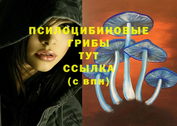 стаф Абдулино